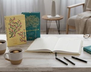 REGALOS REVISTAS ENERO 2026 AGENDAS 2026 MADRIDVENEK EL MUEBLE